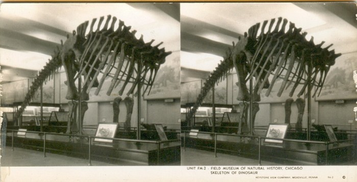 Apatosaurus stereo