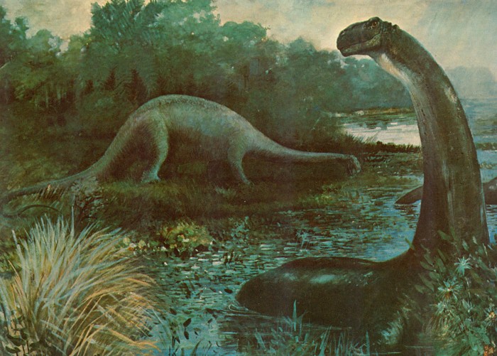 Apatosaurus