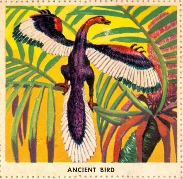 Artchaeopteryx