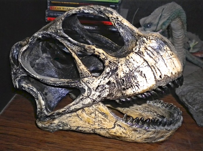 Camarasaurus-skull-