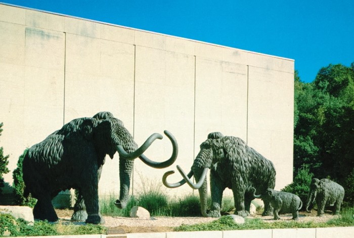 Cincinnati-Museum-mastodons-1000x6721-700x470