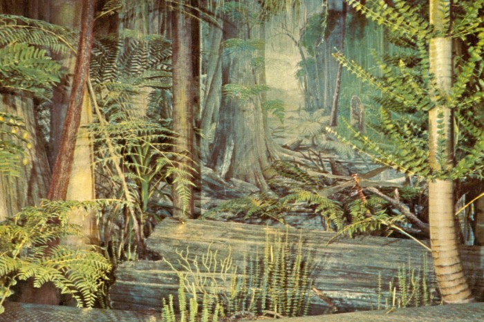 Coal Age Forest postcard