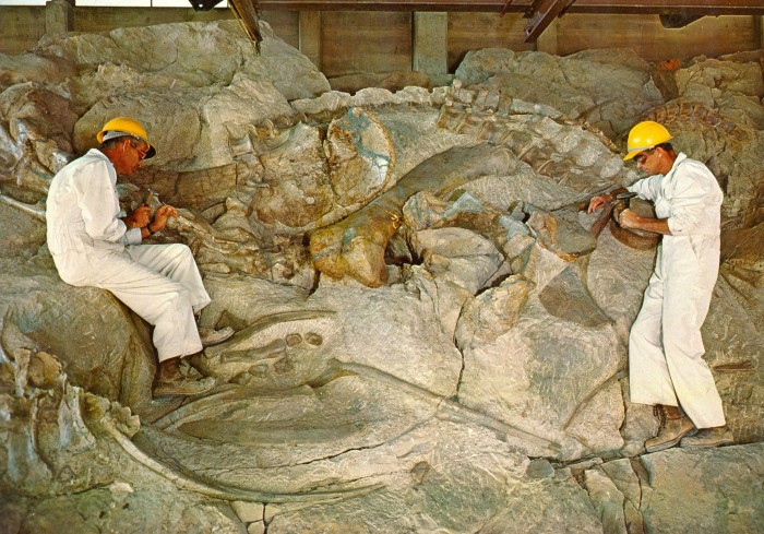 DInosaur National Monument