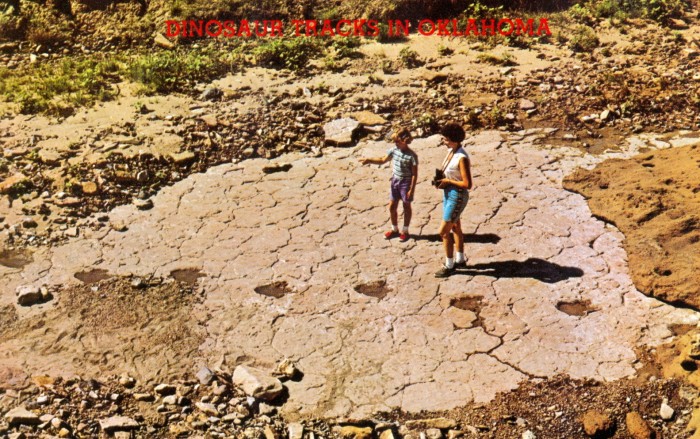 Dinosaur footprints