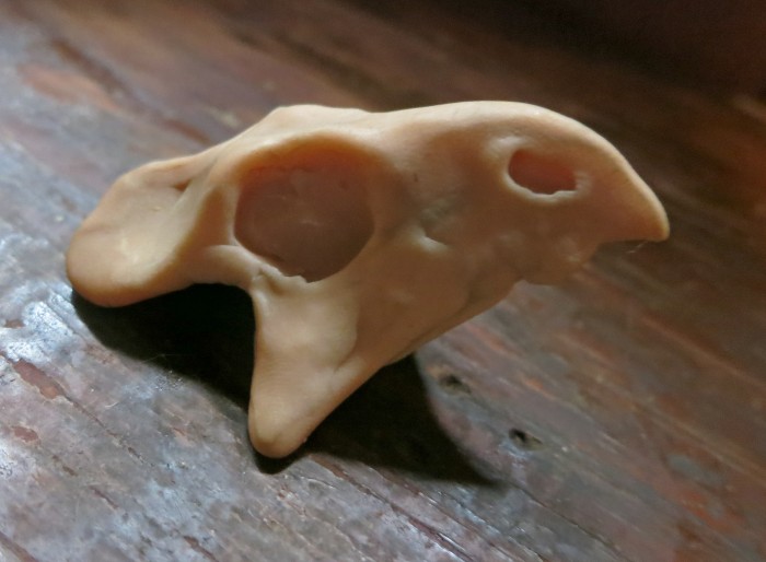 Fischner Protoceratops