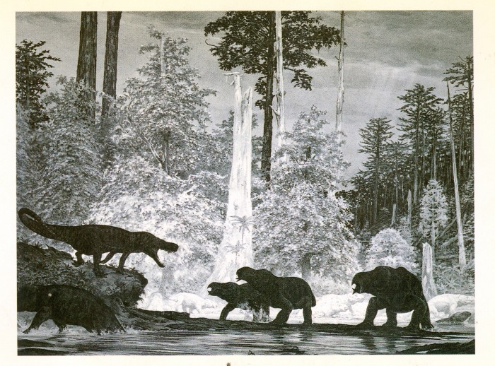 Henderson Petrified Forest scene