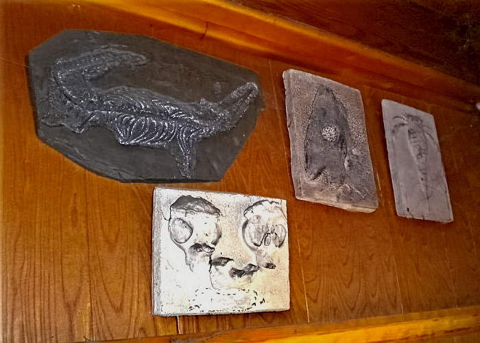 Jones-Fossil-Farm-700x501