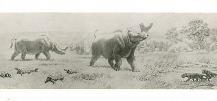 Knight-brontothere-postcard