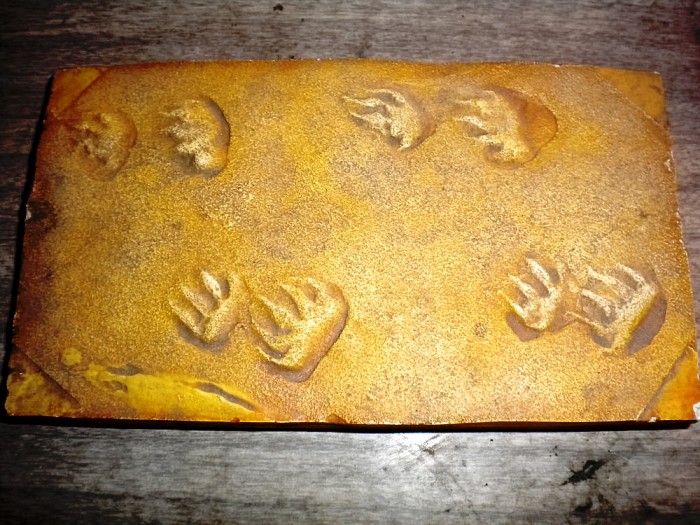 Laoporus-Tracks-1000x7501-700x5251