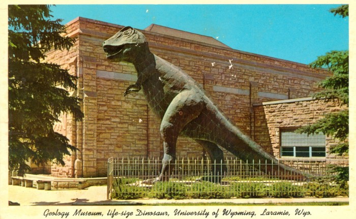 Laramie Tyrannosaurus