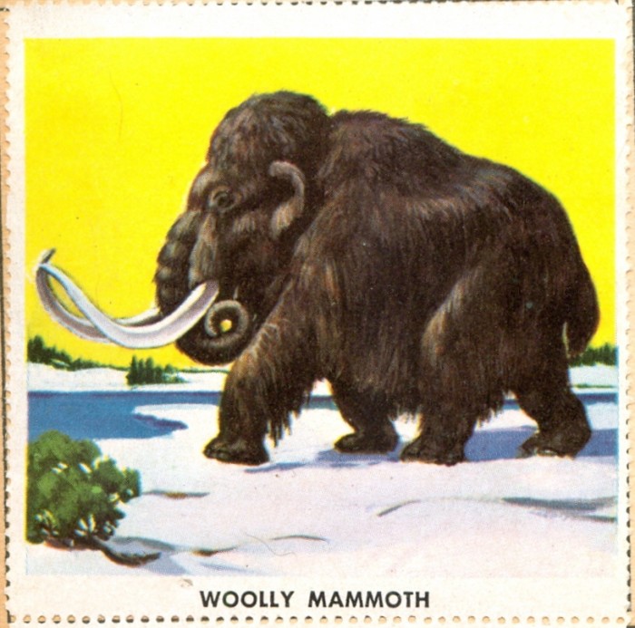MAMMOTH