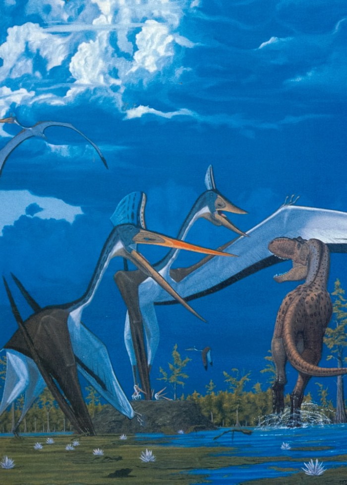 Paul-Quetzalcoatlus