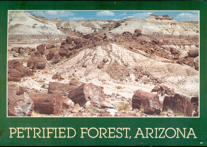 Petrified Forest