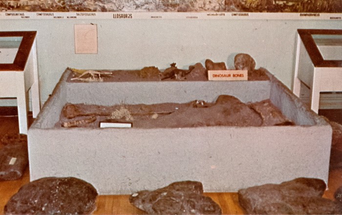 Price DInosaur Tracks