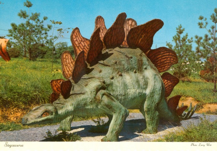 Stegosaurus postcard