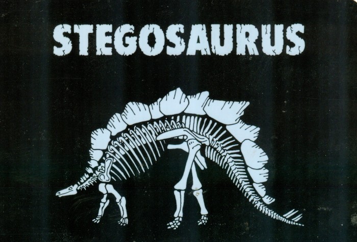 Stegosaurus
