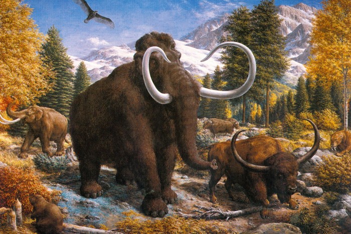 Zallinger mammoth