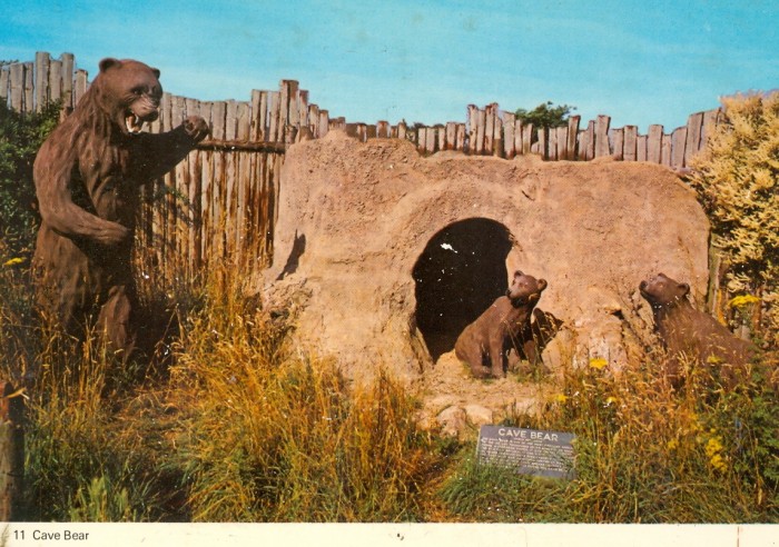 cave bears