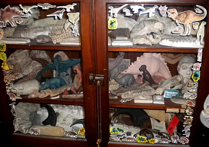 fossils cabinet