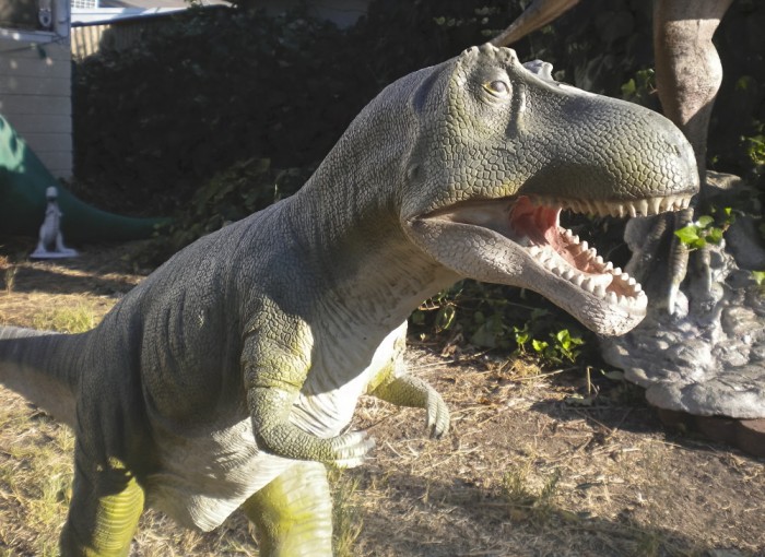 garden-Tyrannosaurus-700x5102