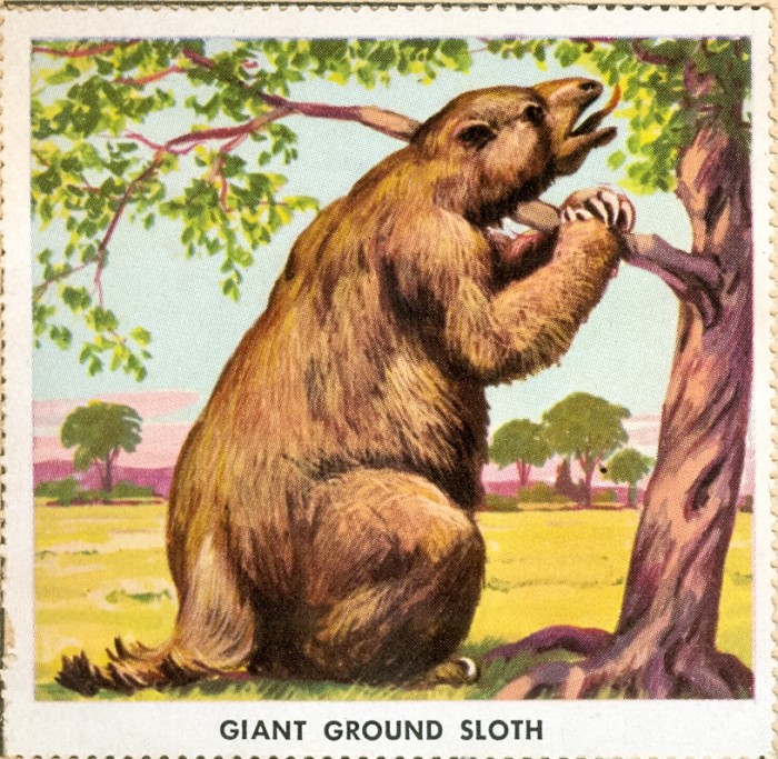 ground sloth