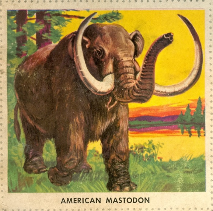 mastodon
