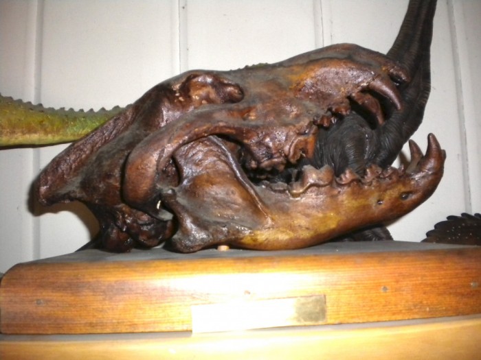 dire-wolf-skull1-cast