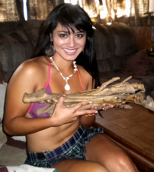 prehistoric-horse-feet