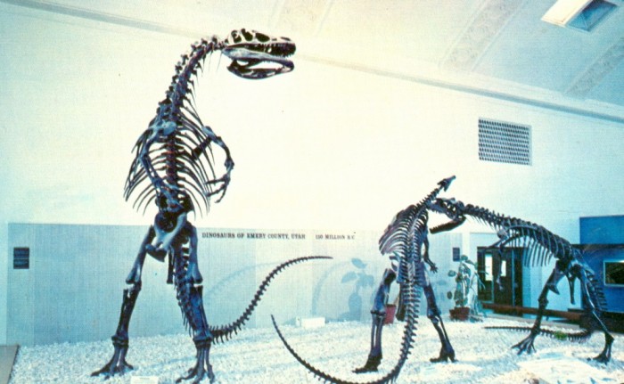 Allosaurus-Camptosaurus-skeletons-1000x617