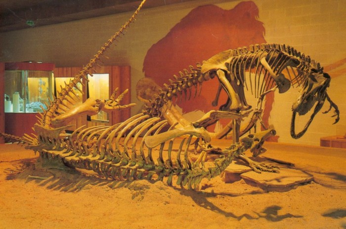 Fort-Worth-Allosaurus-1000x662