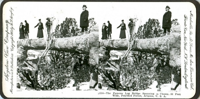 Petrified-Forest-stereo