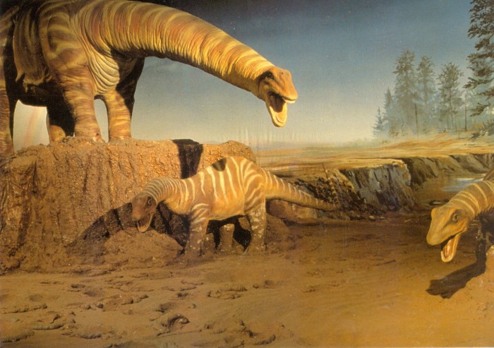 Dinamation Apatosaurus