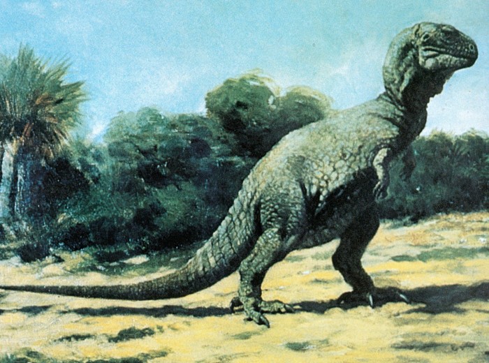 Knight Tyrannosaurus painting