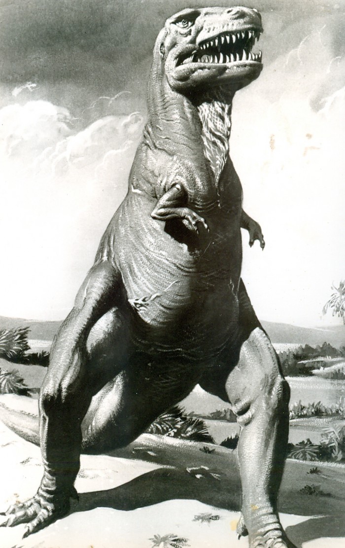 Parker Tyrannosaurus