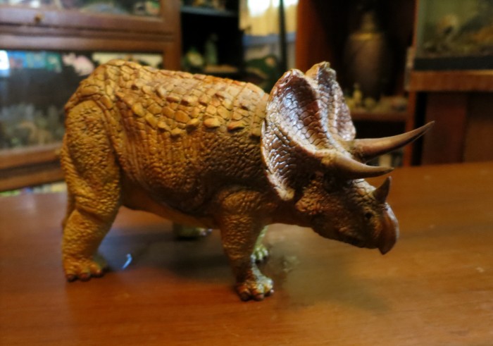 Triceratops