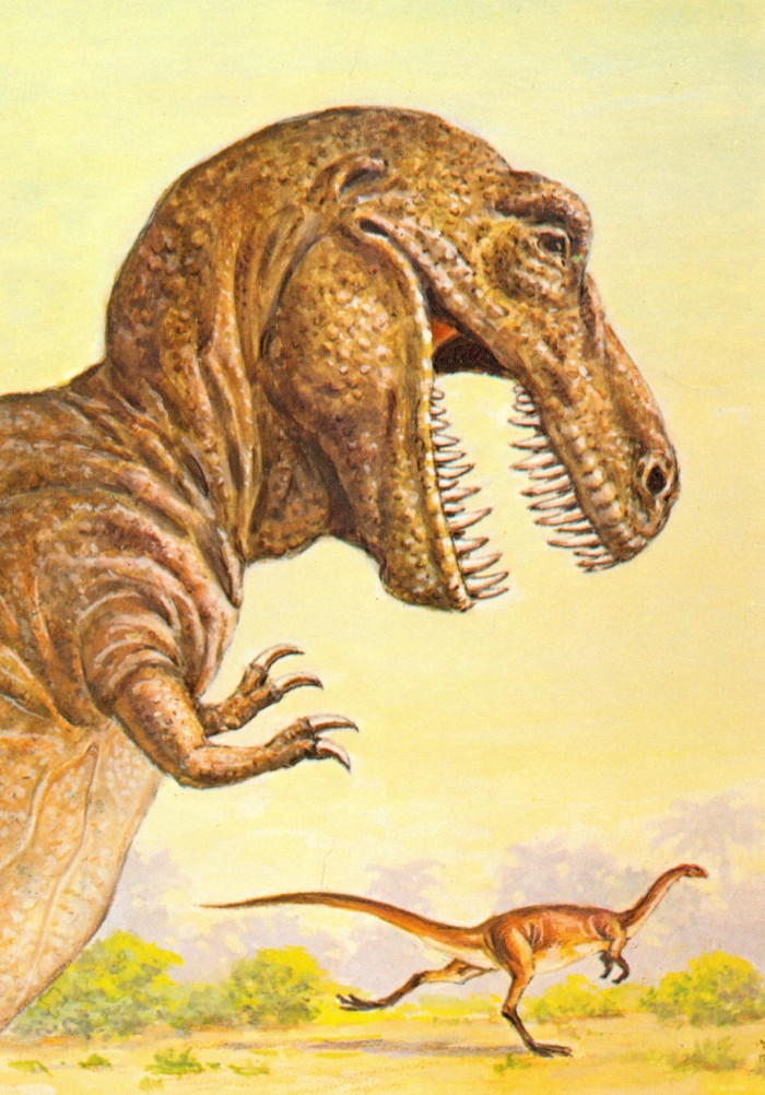 T. rex postcard