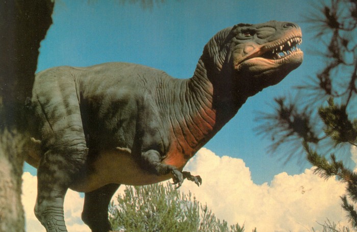 DInamation International Corp