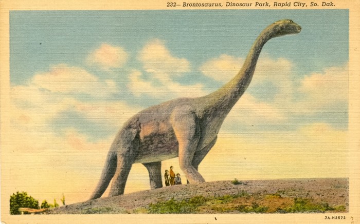 Dinosaur Park