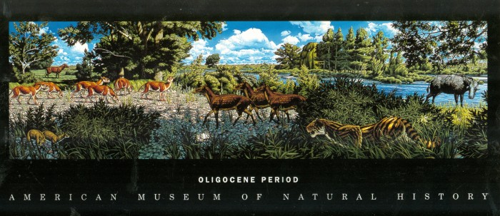 Oligocene painting