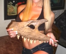 Albetosaurus-maxilla-