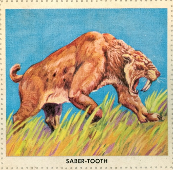 Smilodon