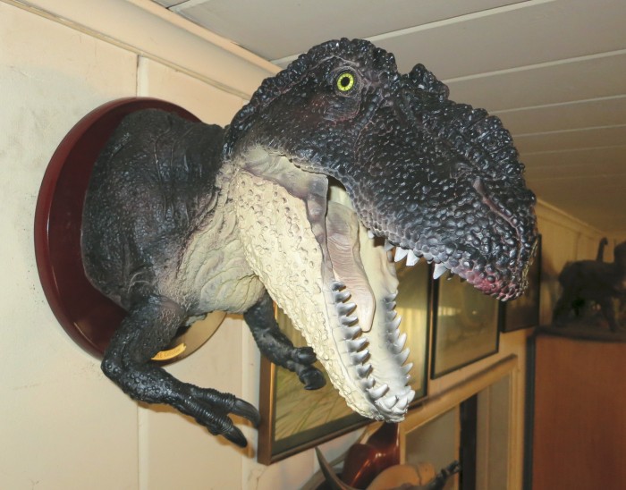 Tyrannosaurus head