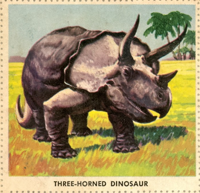 Triceratops