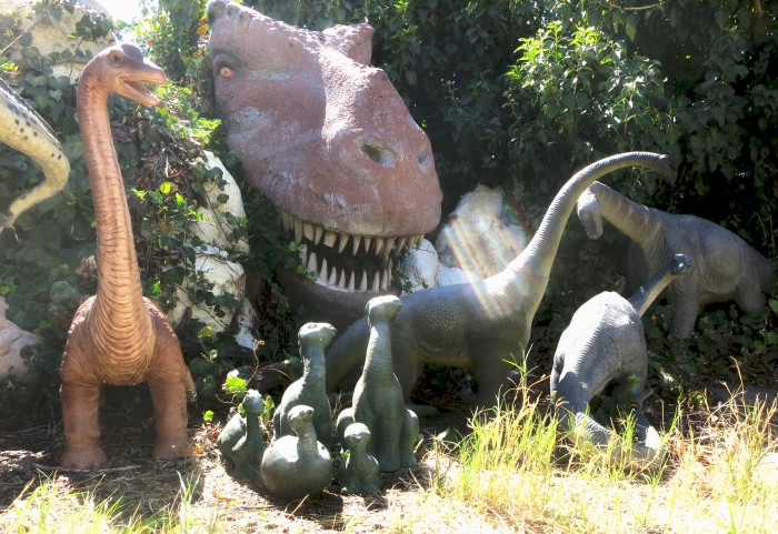 sauropod family group