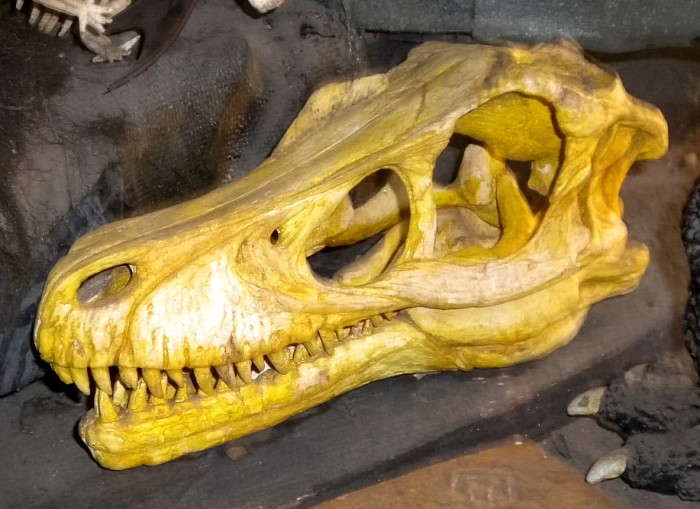 Kaiyodo-Velociraptor-skull