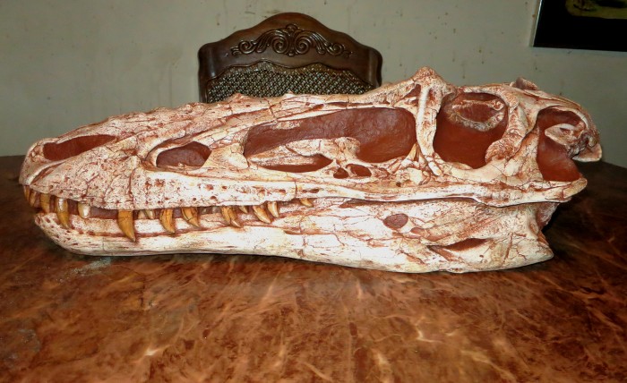 Alioramus skull