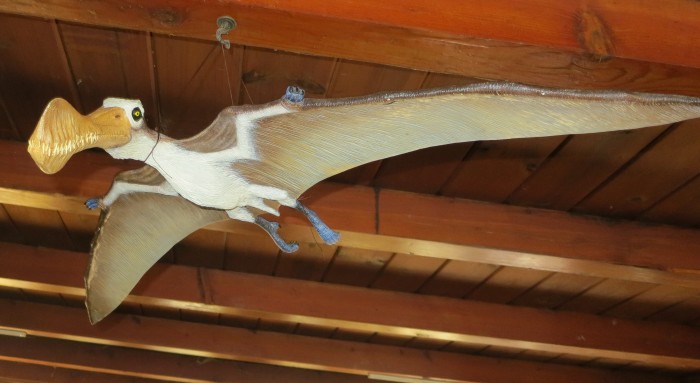 pterosaur model