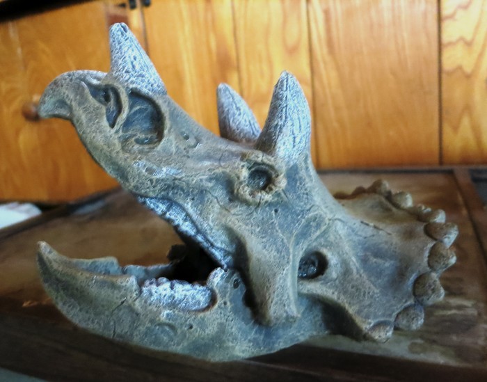 Triceratops Exotic Environment