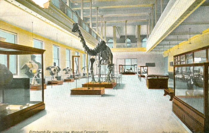 Carnegie Museum Diplodocus