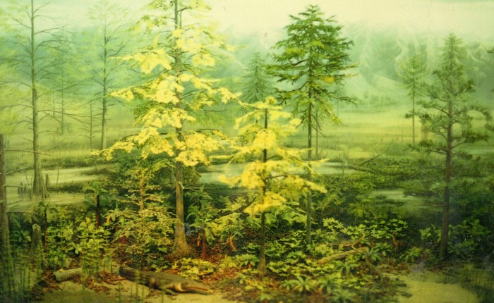 Dinosaur State Park Diorama